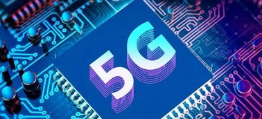 物流網(wǎng)絡(luò)與信息安全軟件開(kāi)發(fā) 企業(yè)資訊與產(chǎn)品網(wǎng)站的新防線(xiàn)